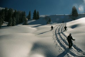 Snow shoes, Les Pléaides, March 2001