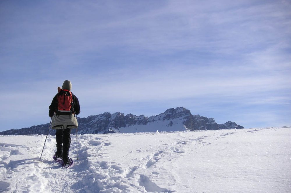 Snow shoes, February 2005