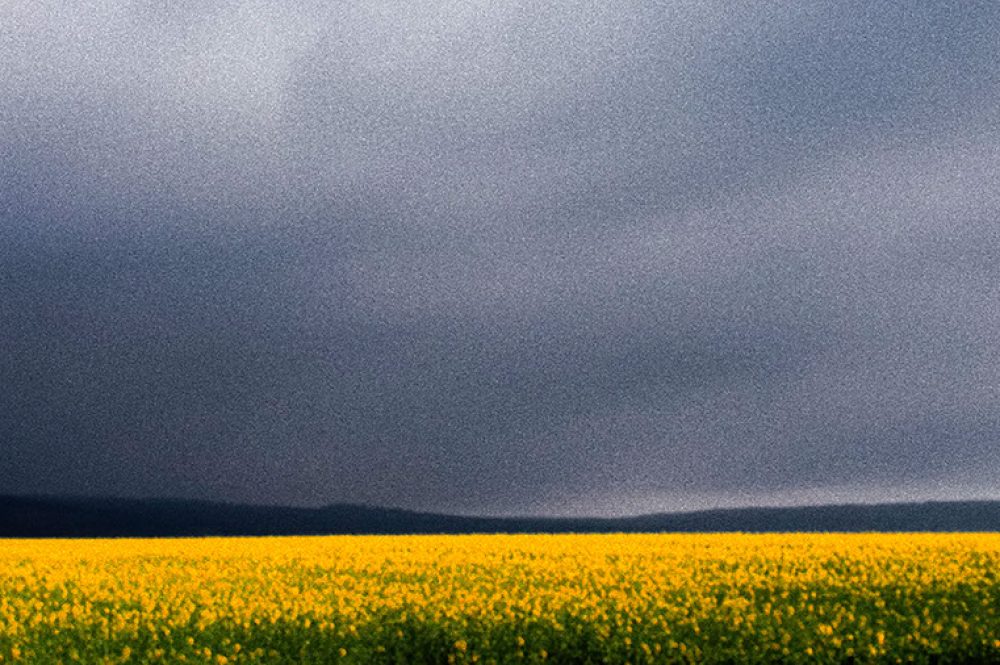 On the road (Marienhagen), April 2014