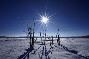 High Fens, January 2017