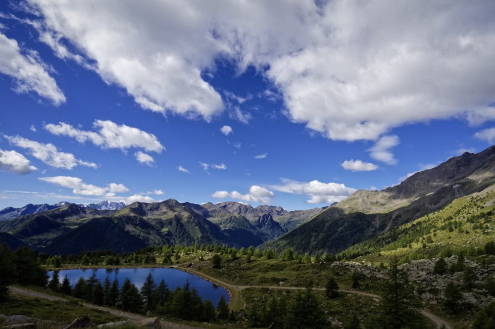 Trentino, July 2017