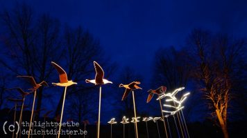 Bruges, December 2019