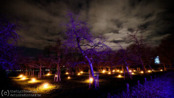 Bokrijk Winter Light, December 2023